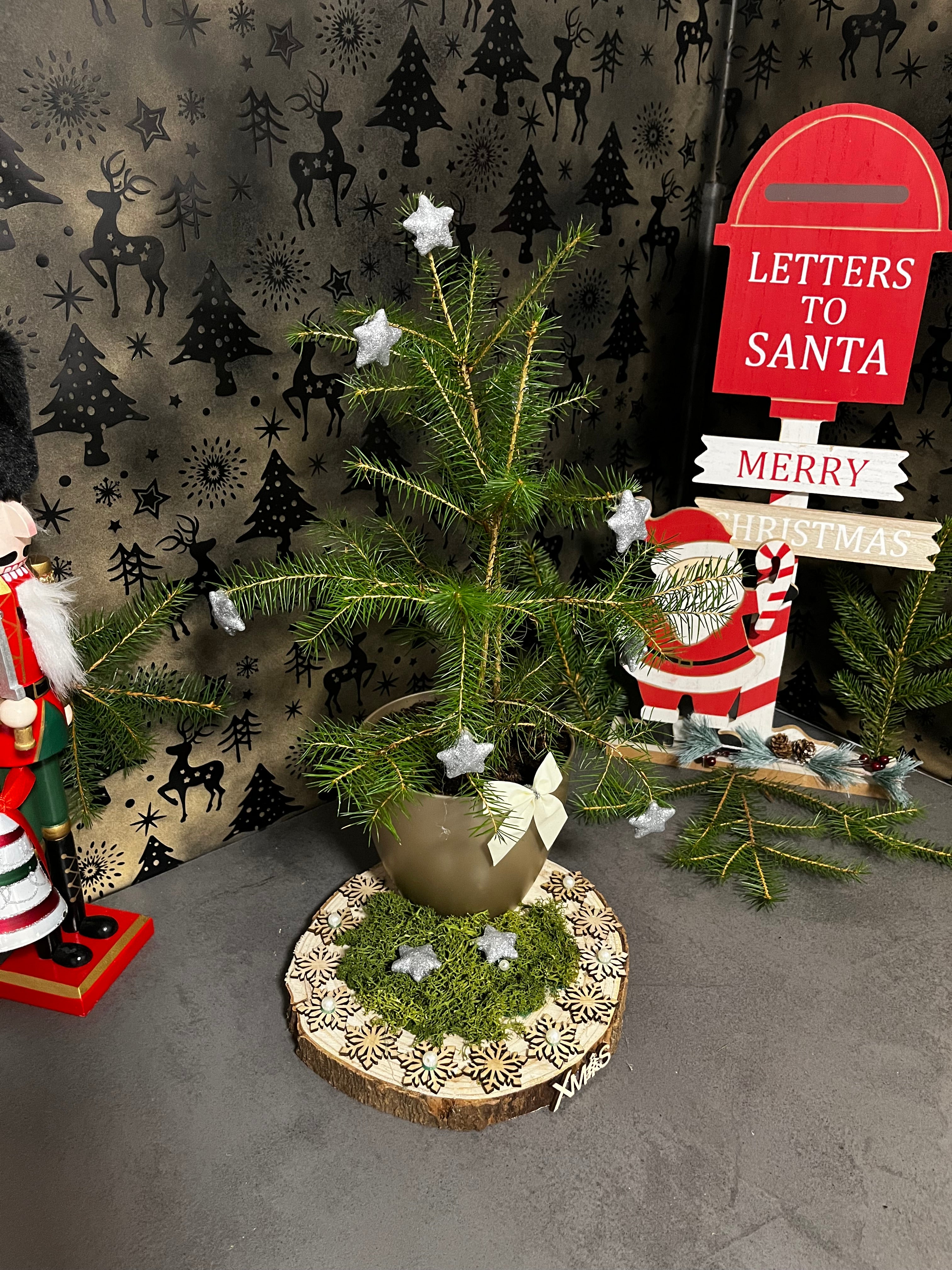 Starlit Woodland Tree