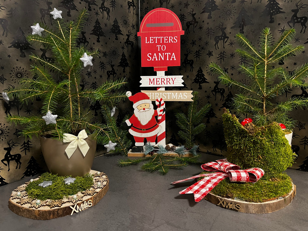 Starlit Woodland Tree